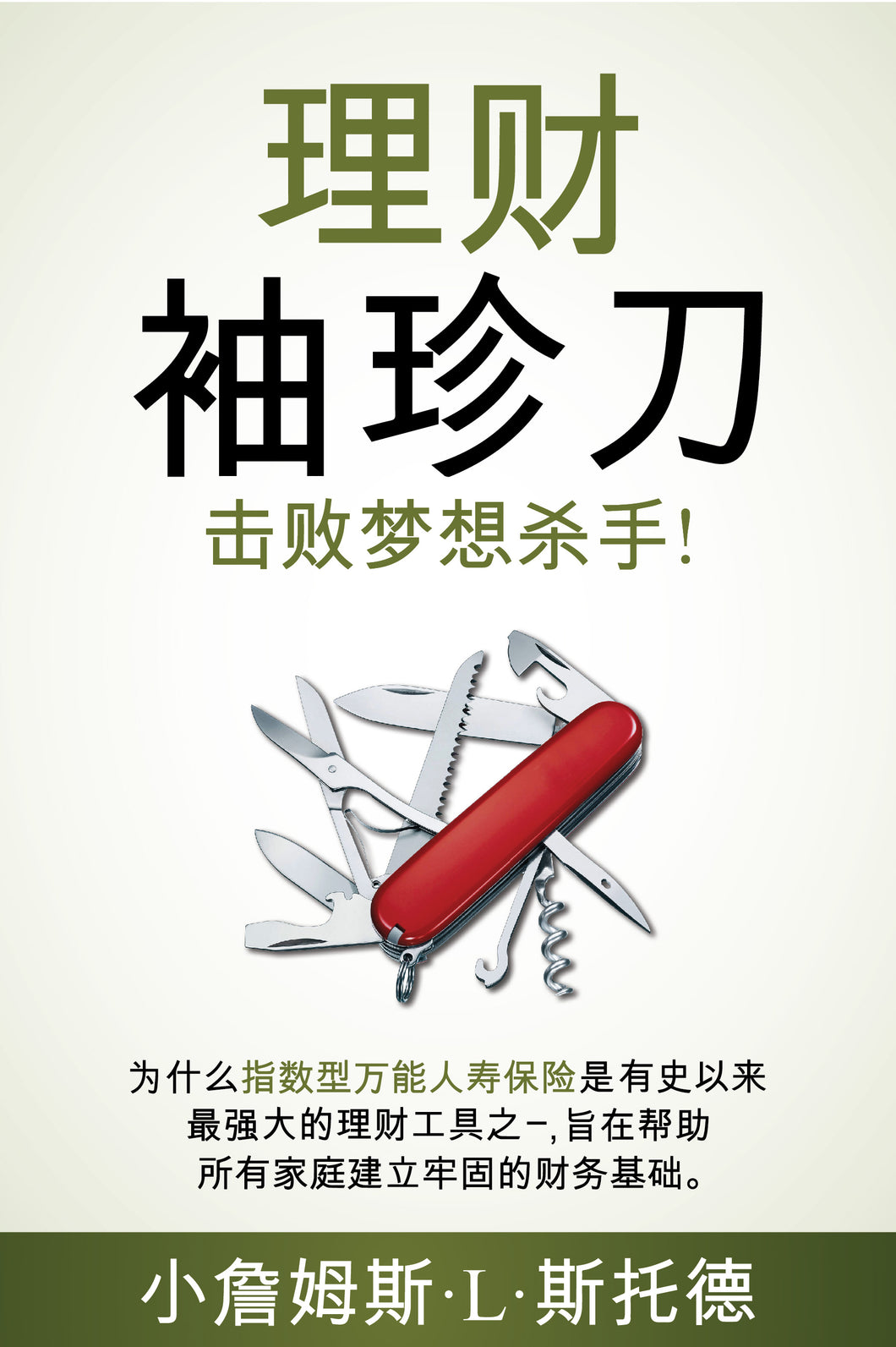 Chinese Edition - The Financial Pocketknife Paperback